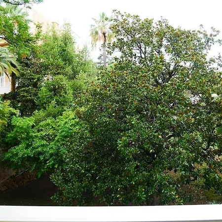 Appartement Inactif Cannes